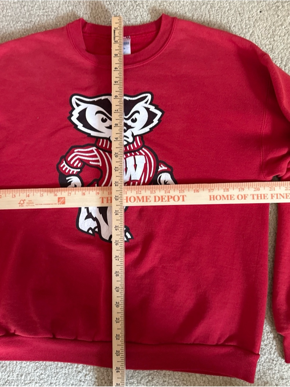 Vtg Wisconsin Badgers Bucky Red Crew Neck Sweatshirt Jerzees Medium - Picture 5 of 8